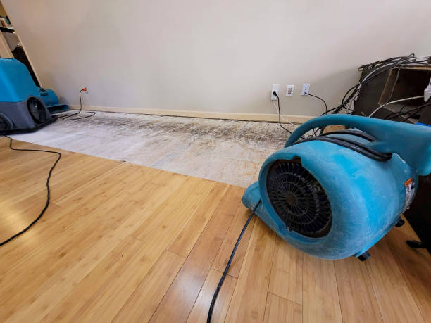 Professional Ceiling Water Damage Repair technician working in Sallis, MS